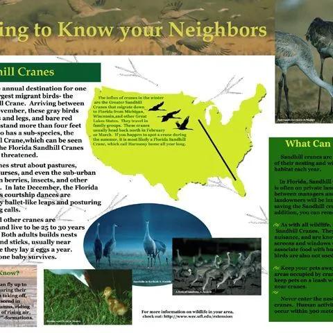 thumbnail for publication: Developing Sign Displays for Conveying Information